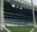 Palmeiras x Botafogo: onde assistir ao vivo, horário e escalações
